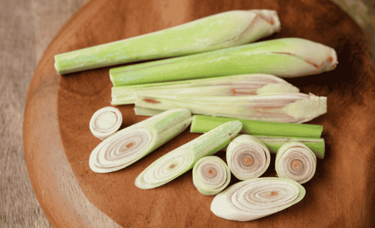 Citronella 