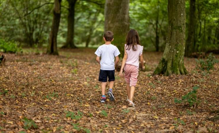 Figli nel bosco