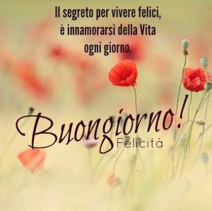 Frasi Secche Per Dire Buongiorno Notiziesecche Frasi Aforismi E Citazioni