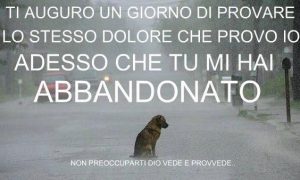 Frasi, aforismi, citazioni e slogan contro l'abbandono dei cani -  NotizieSecche: Frasi, aforismi e citazioni