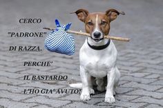 slogan abbandonare cane