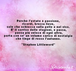 frasi aforismi e citaioni Stephen Littleword