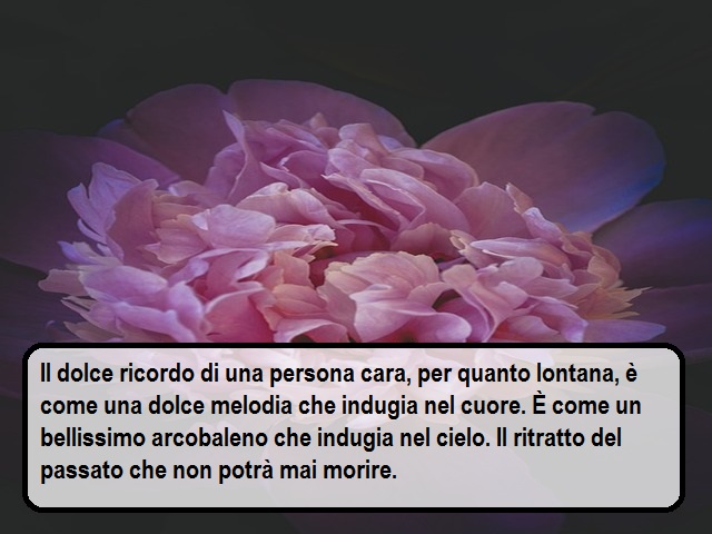 Compleanno Di Una Persona Morta 92 Frasi E Immagini Per Ricordare Una Persona Speciale Notiziesecche Frasi Aforismi E Citazioni