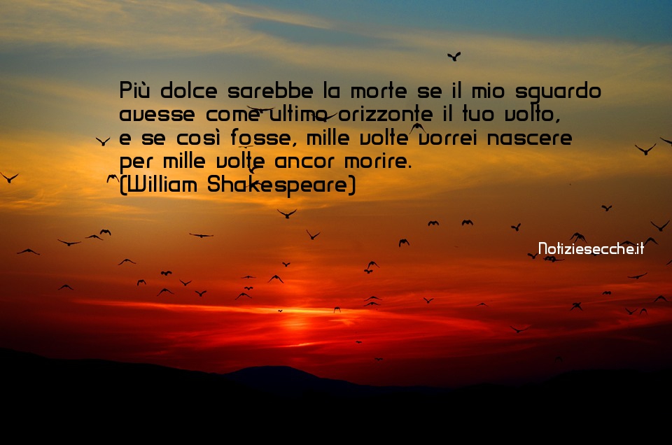 amore frasi brevi