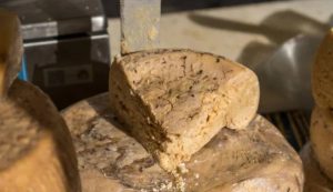 Casu Marzu (Depositphotos foto)