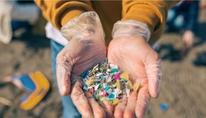 I problemi derivanti dall'assunzione di microplastiche