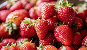 Illustrazione di alcune fragole (Pixabay FOTO) - www.notiziesecche.it