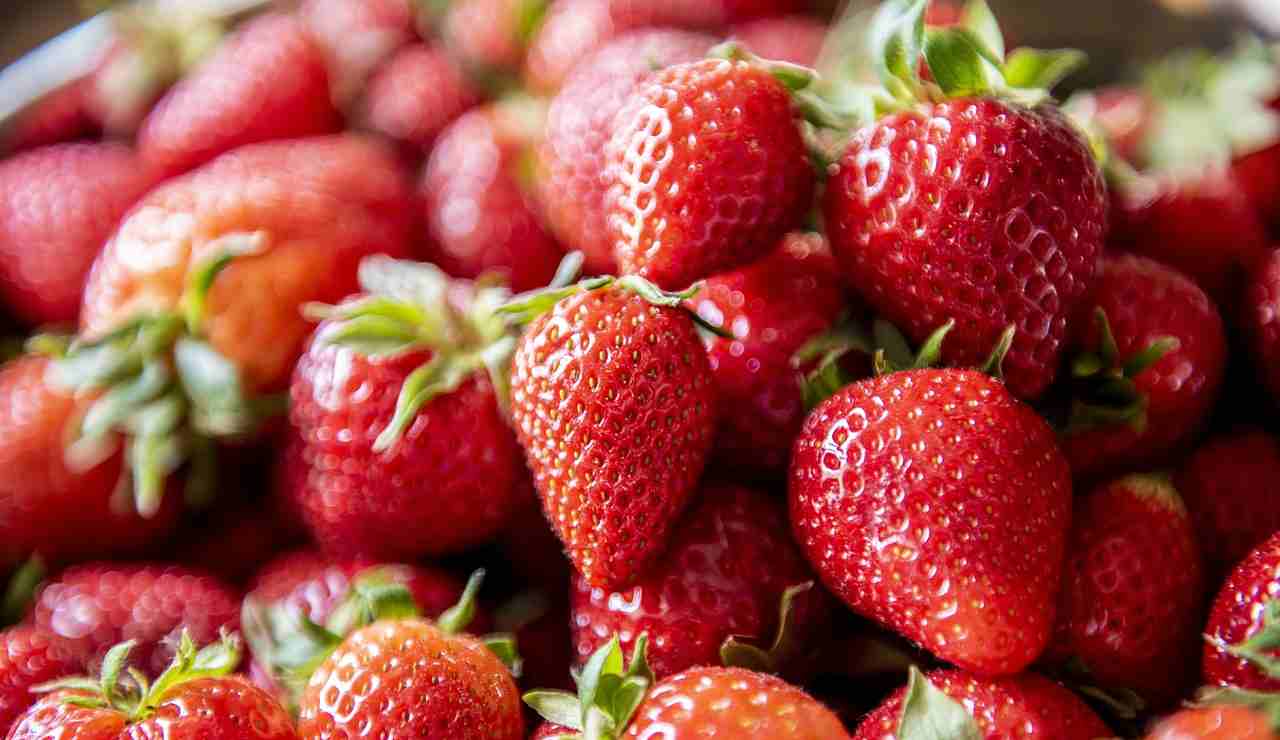 Illustrazione di alcune fragole (Pixabay FOTO) - www.notiziesecche.it