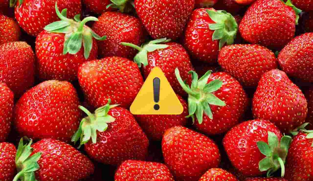 fragole