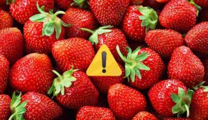 fragole