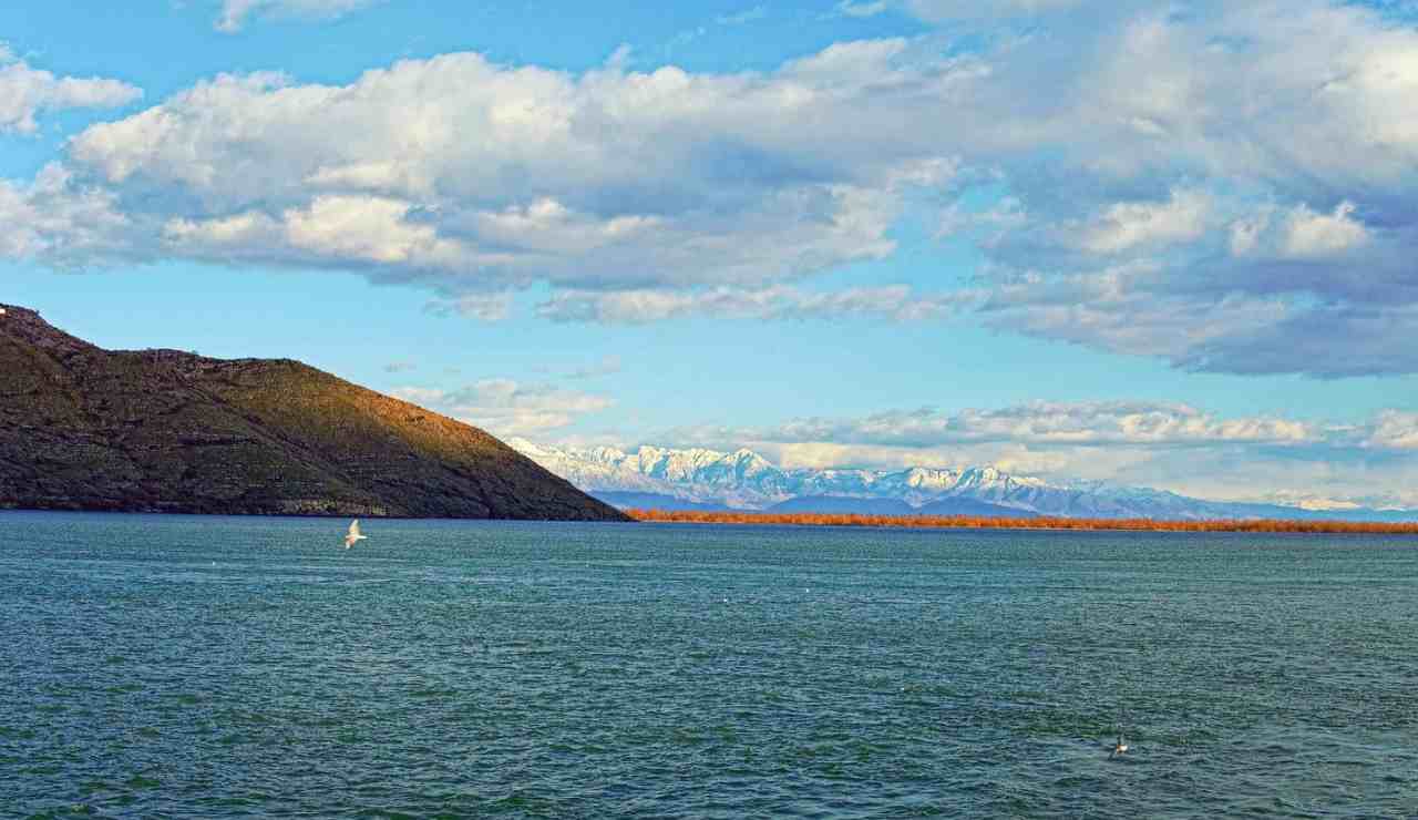 lago skadar montenegro