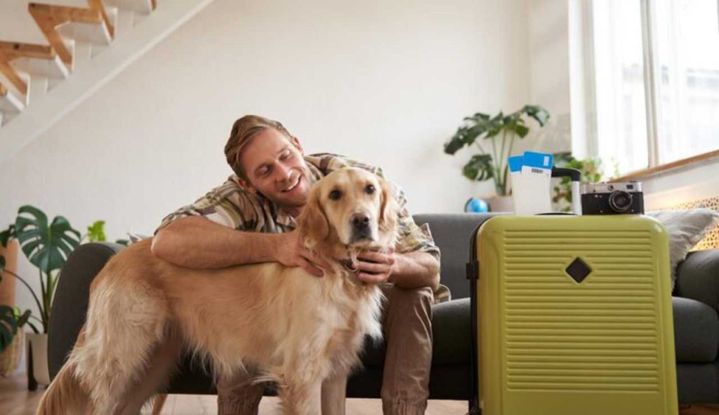 Cane in vacanza