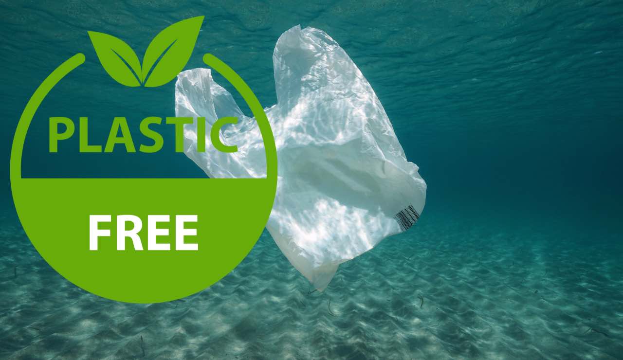Plastic free