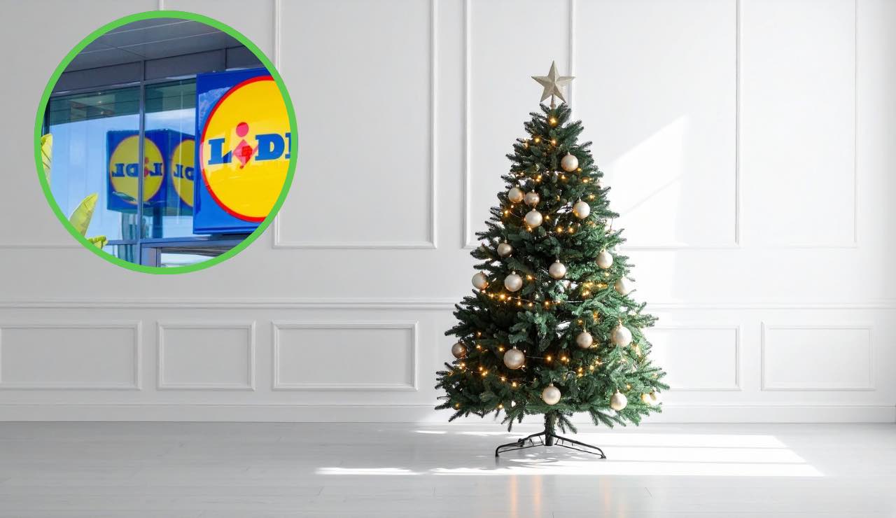 Albero di natale LIDL