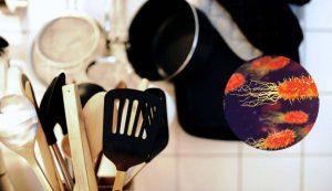 Cucina e batteri (Pixabay foto) - www.notiziesecche.it