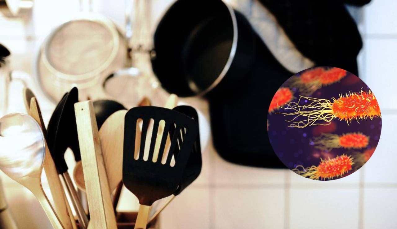 Cucina e batteri (Pixabay foto) - www.notiziesecche.it