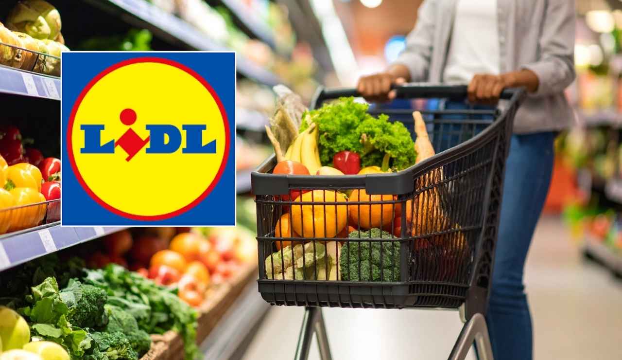 Lidl spesa