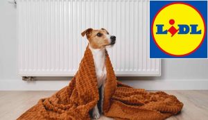 Senza spendere troppo