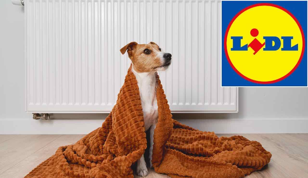 Senza spendere troppo